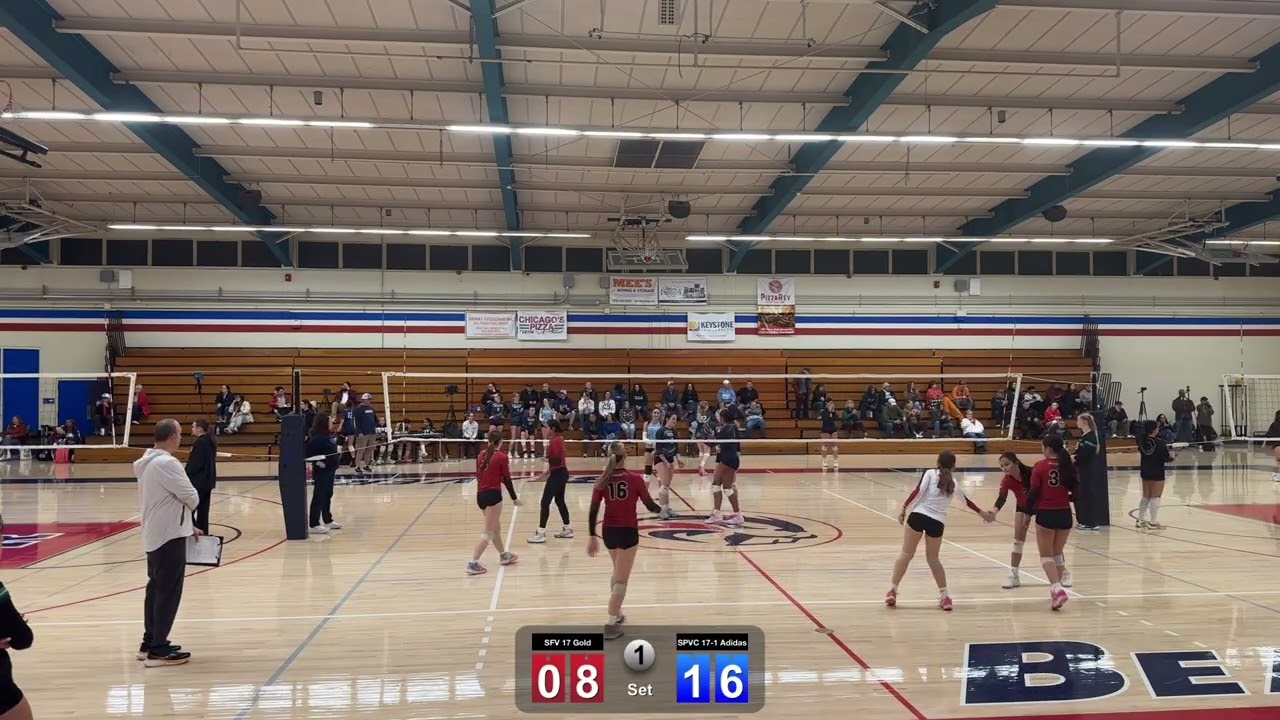 SFV 17 Gold vs SPVC 17-1 Adidas