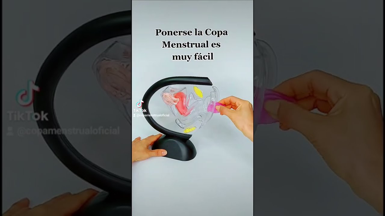 Te ense&ntilde;o a ponerte la Copa Menstrual 💜