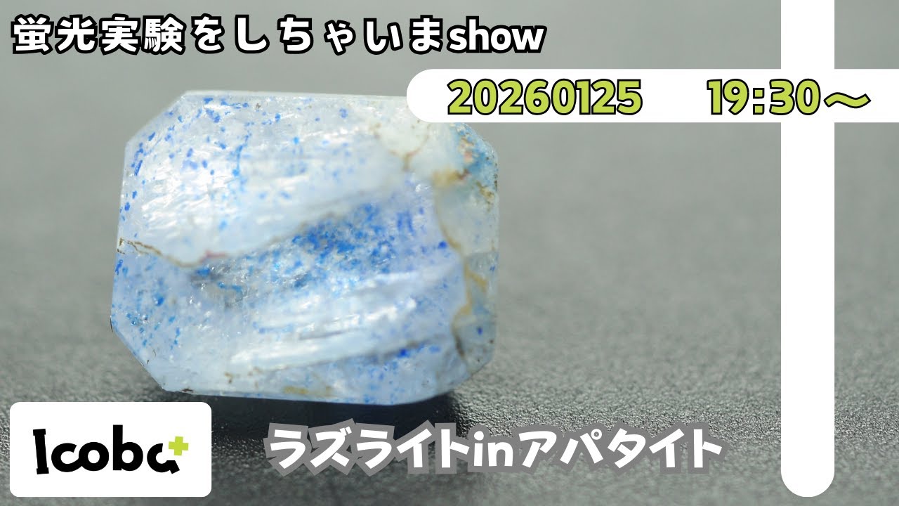 【10名様プレゼント企画あり】蛍光実験をしちゃいまshow‼️