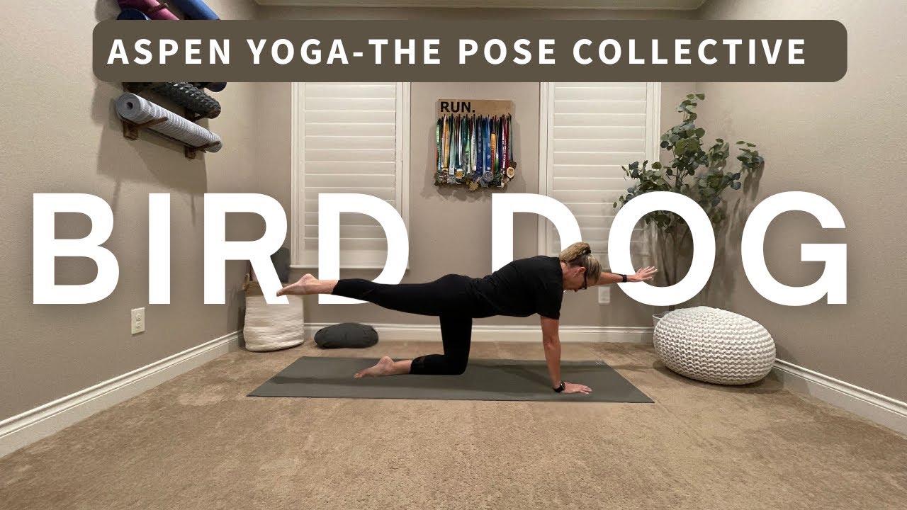 The Pose Collective Bird Dog 