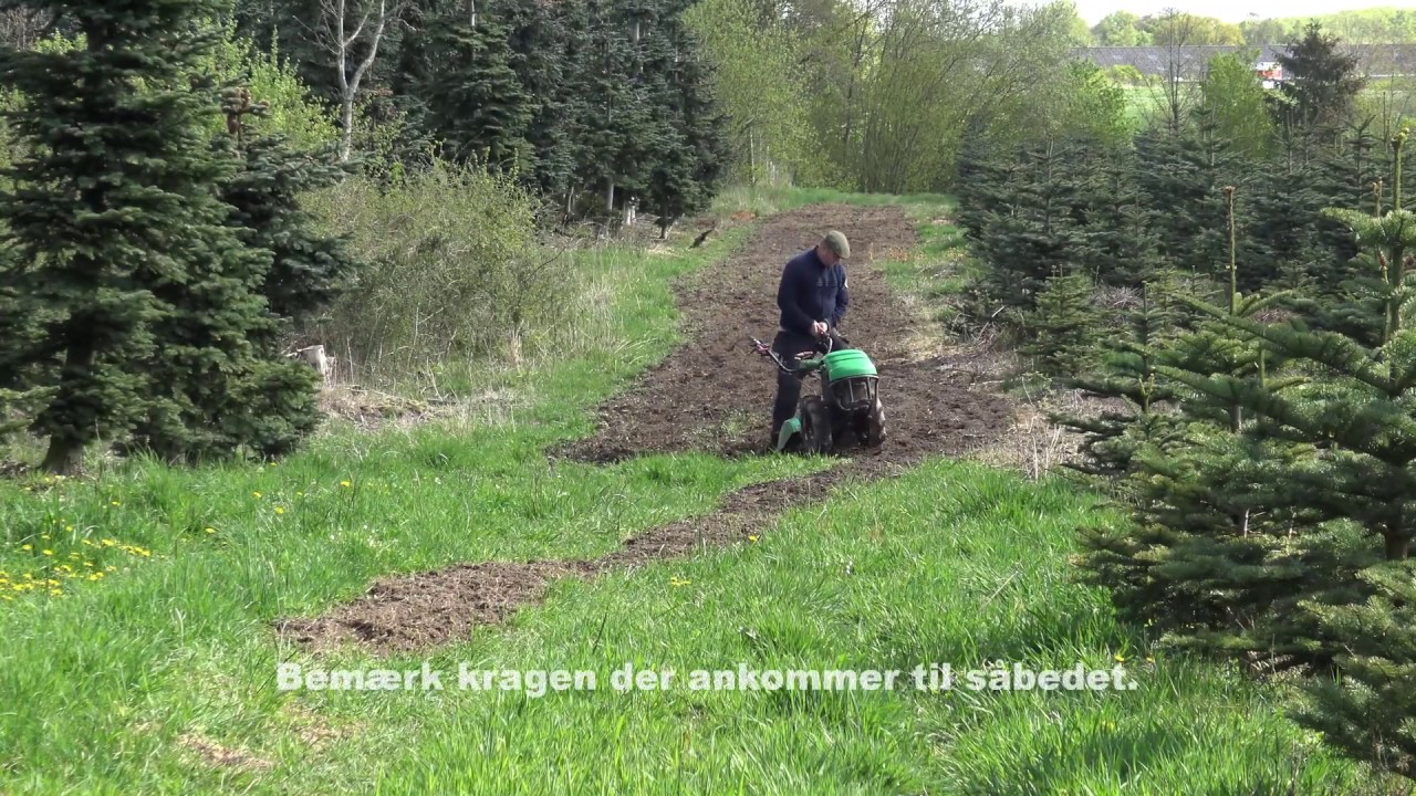 Vildtager