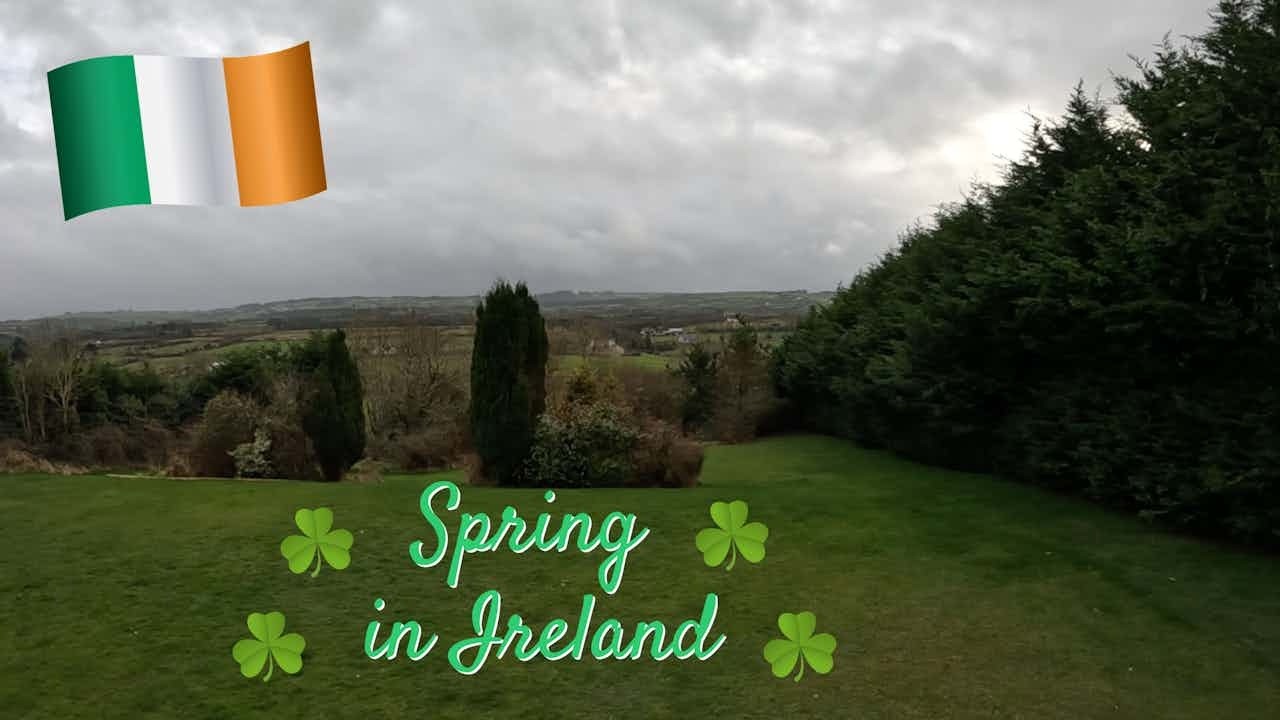 Spring in Ireland  💕🍀💚