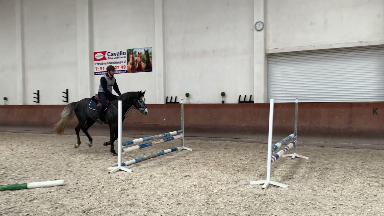 Crazy Killer (Corner Obolensky x Lux Z)