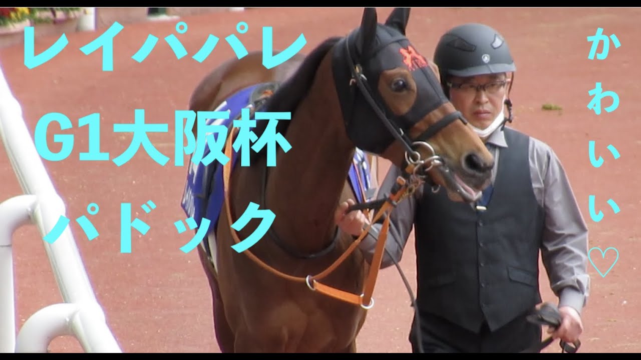 【現地映像】かわいい♡レイパパレのG1大阪杯パドック