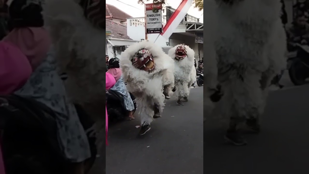 macan liar bondowoso ikut serta memeriahkan karnaval budaya 20 Agustus 2022