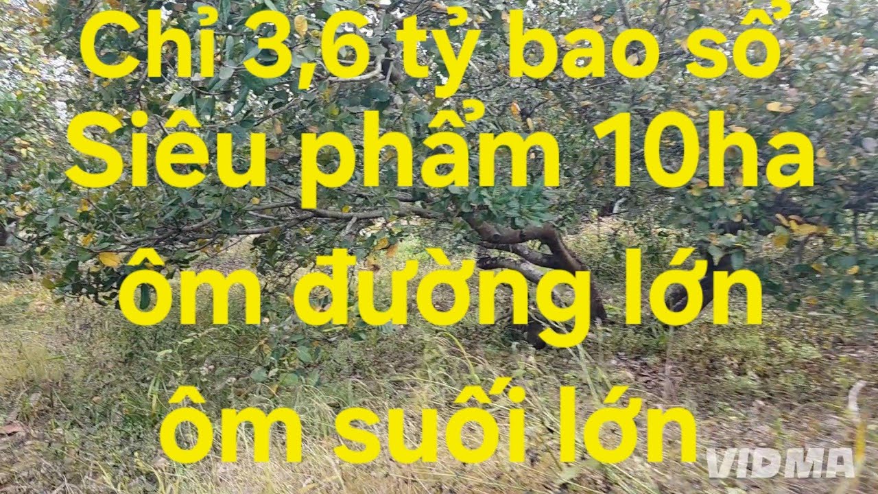 10ha ôm đường lớn, ôm suối lớn, chỉ 3,6 tỷ bao sổ, ace quan tâm lh 08 22 72 76 79. 