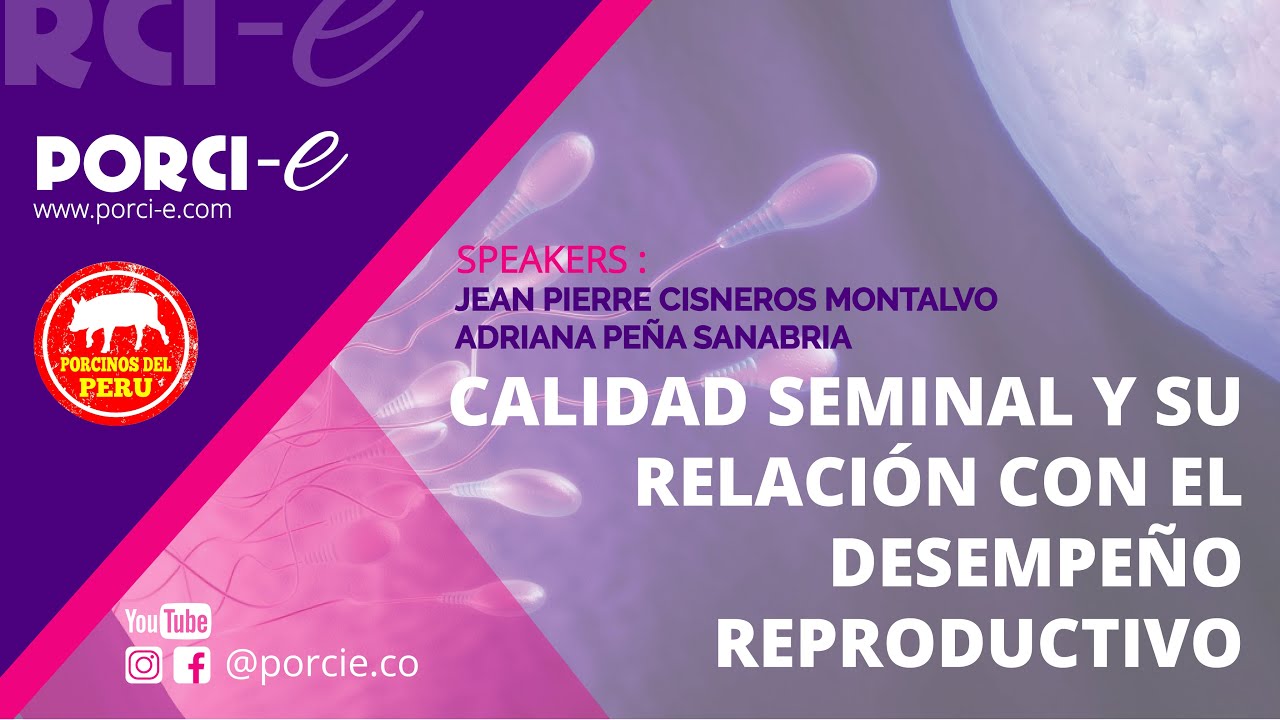 CALIDAD SEMINAL Y SU RELACIÓN CON EL DESEMPEÑO REPRODUCTIVO EN PORCINOS