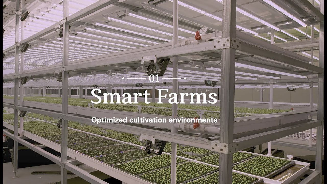 Auto Seeding System for (Vertical Farming)