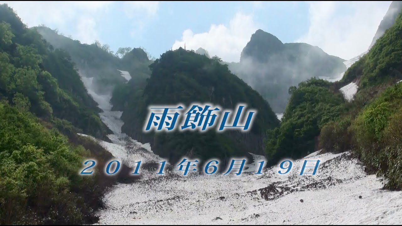 87 上信越 雨飾山6月 2011年6月19日 - 生物多様性体験保全センター 高山植物を主とした野生植物の映像集