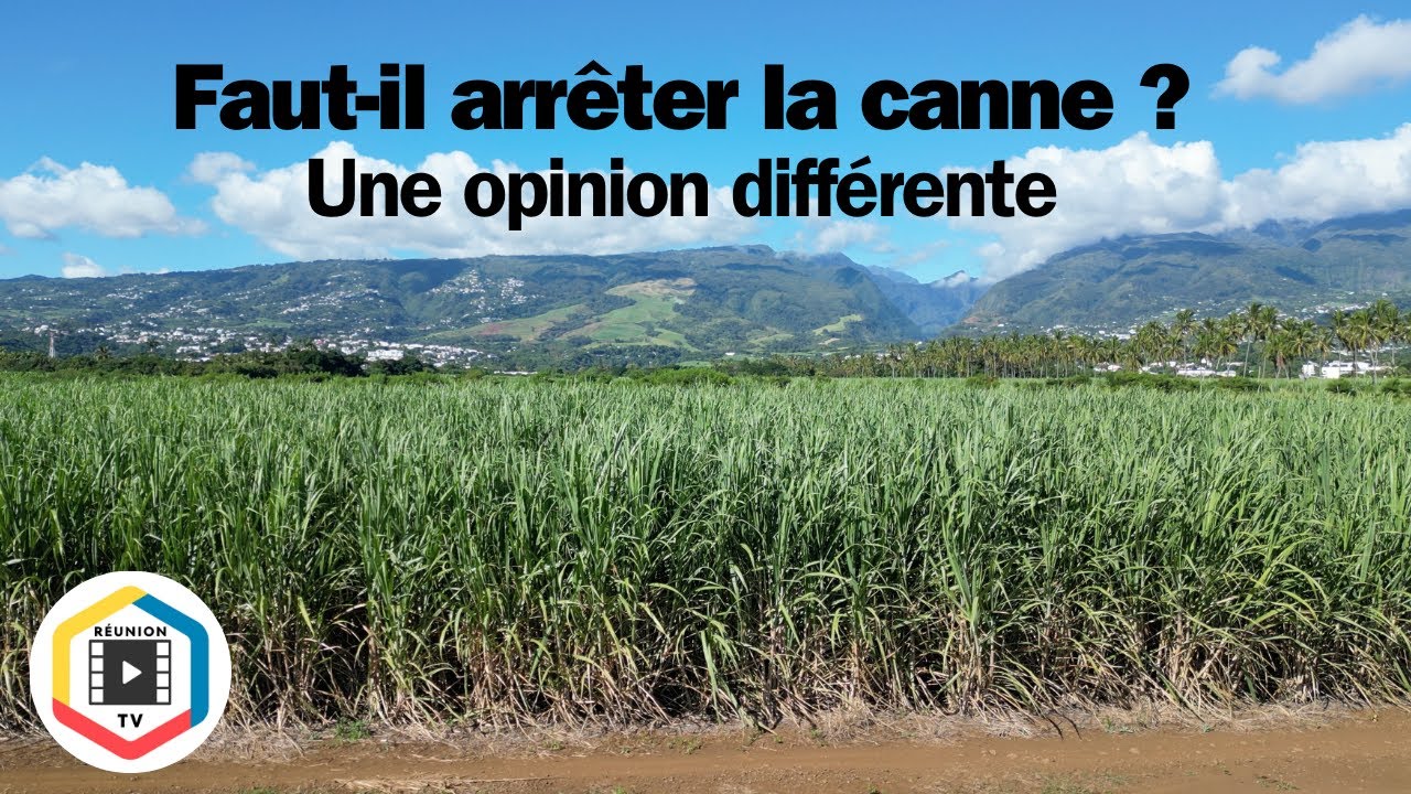 Faut il arrêter la canne à la Réunion ?