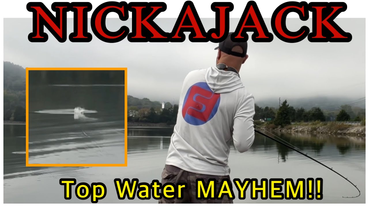 Fall Bass Fishing; NICKAJACK Tournament Top Water MAYHEM!!