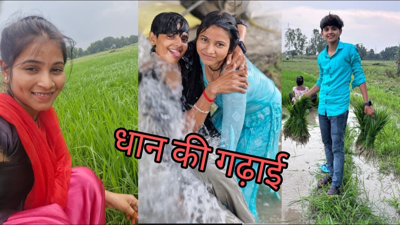 #धन गाड़ी हो गया शुरू#खेत में आया मजा धान लगाते लगाते पटकी लगे किसने किसकी#  ब्लॉग वीडियो 📸