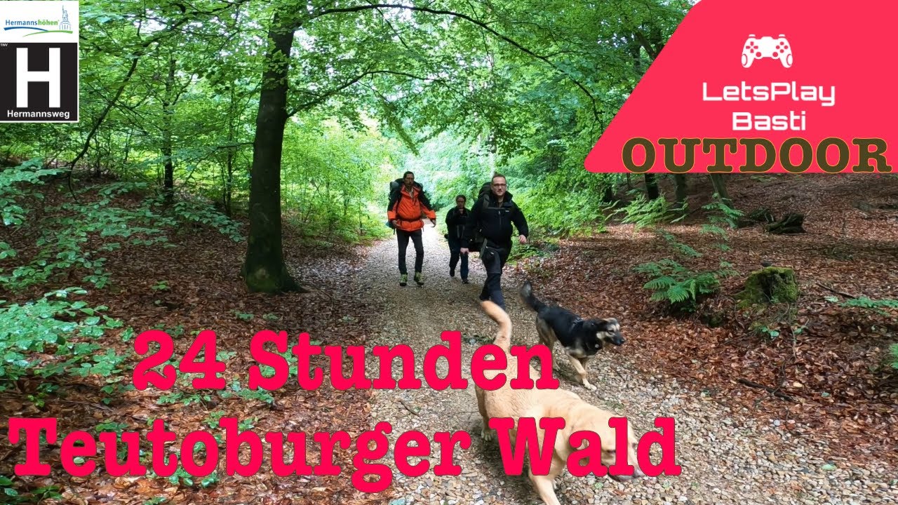 24 STUNDEN (32KM) TOUR OHNE ZELT MIT HUND IM TEUTOBURGER WALD #wandern #outdoor #deutschland