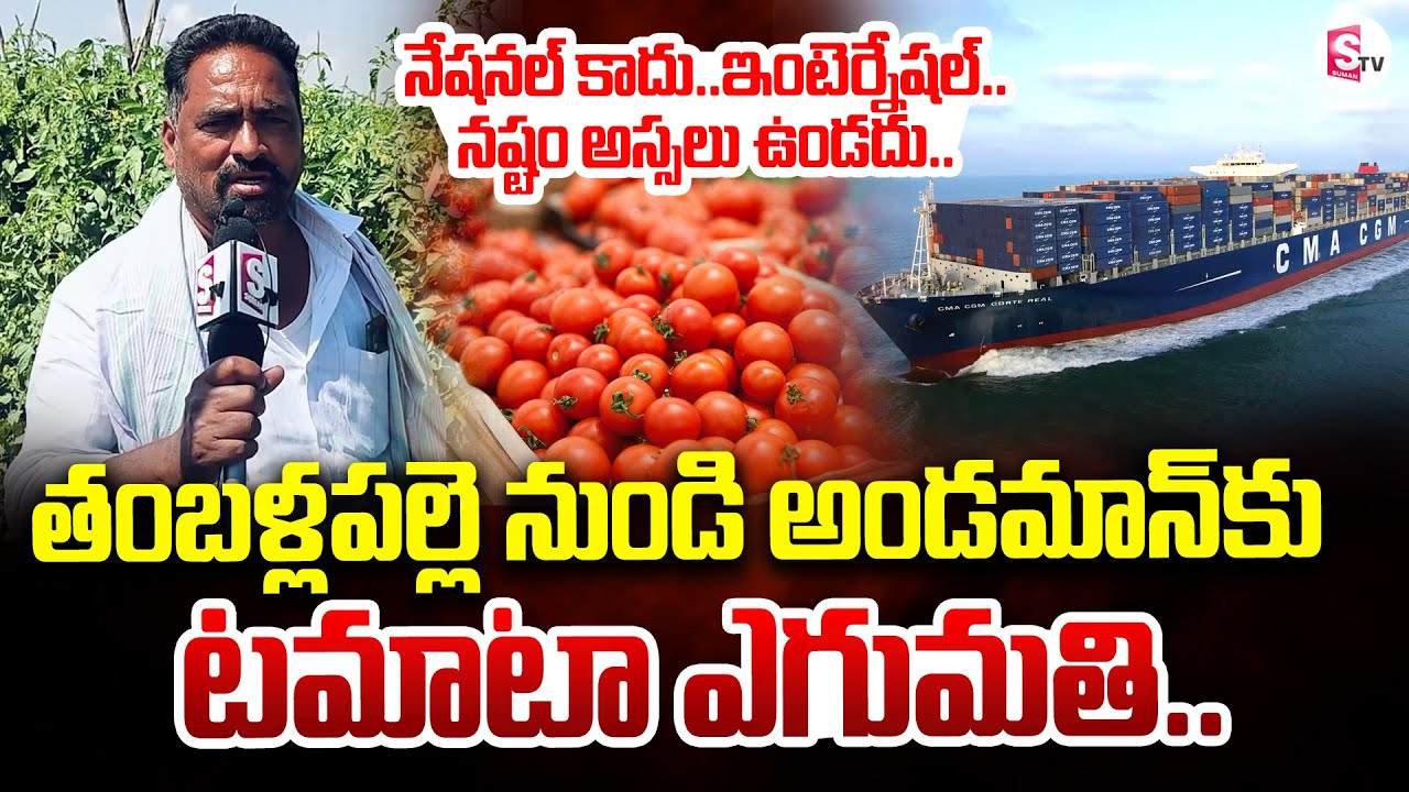 Tomato export from Tamballapalle to Andaman | నష్టం అస్సలు ఉండదు.. | SumanTV Annamayya Dist