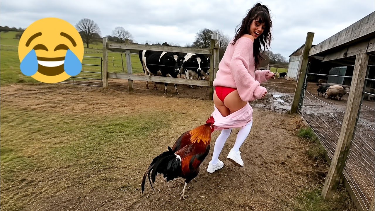 Try not to laugh extreme challenge 🤣🤣 Top funniest video compilation of the year