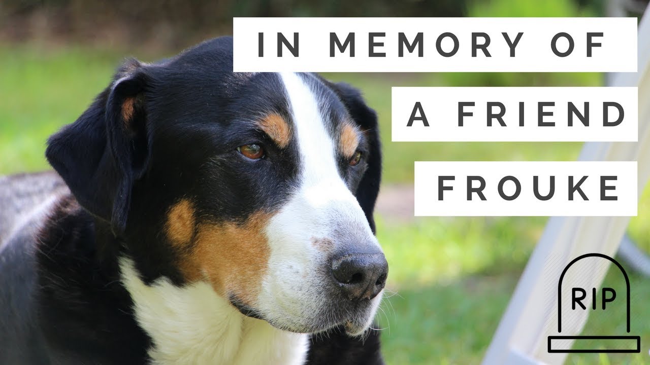 MV - In memory of FROUKE