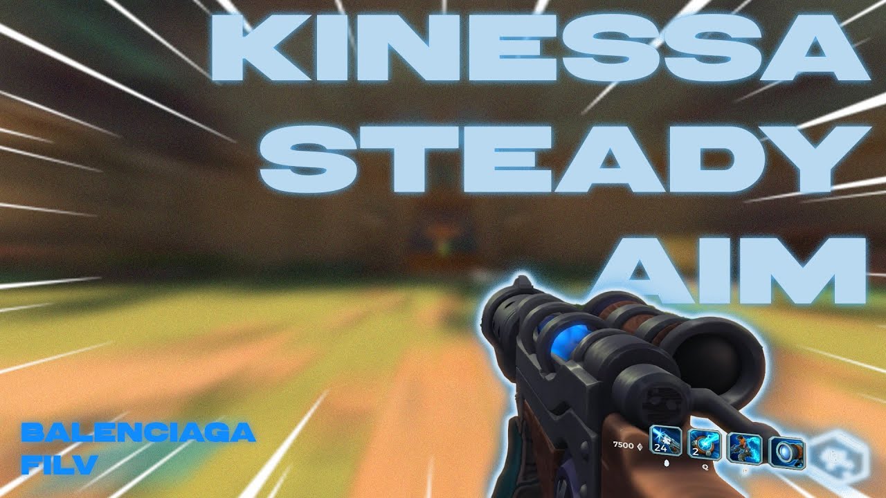 STEADY AIM - INVINCIBLE