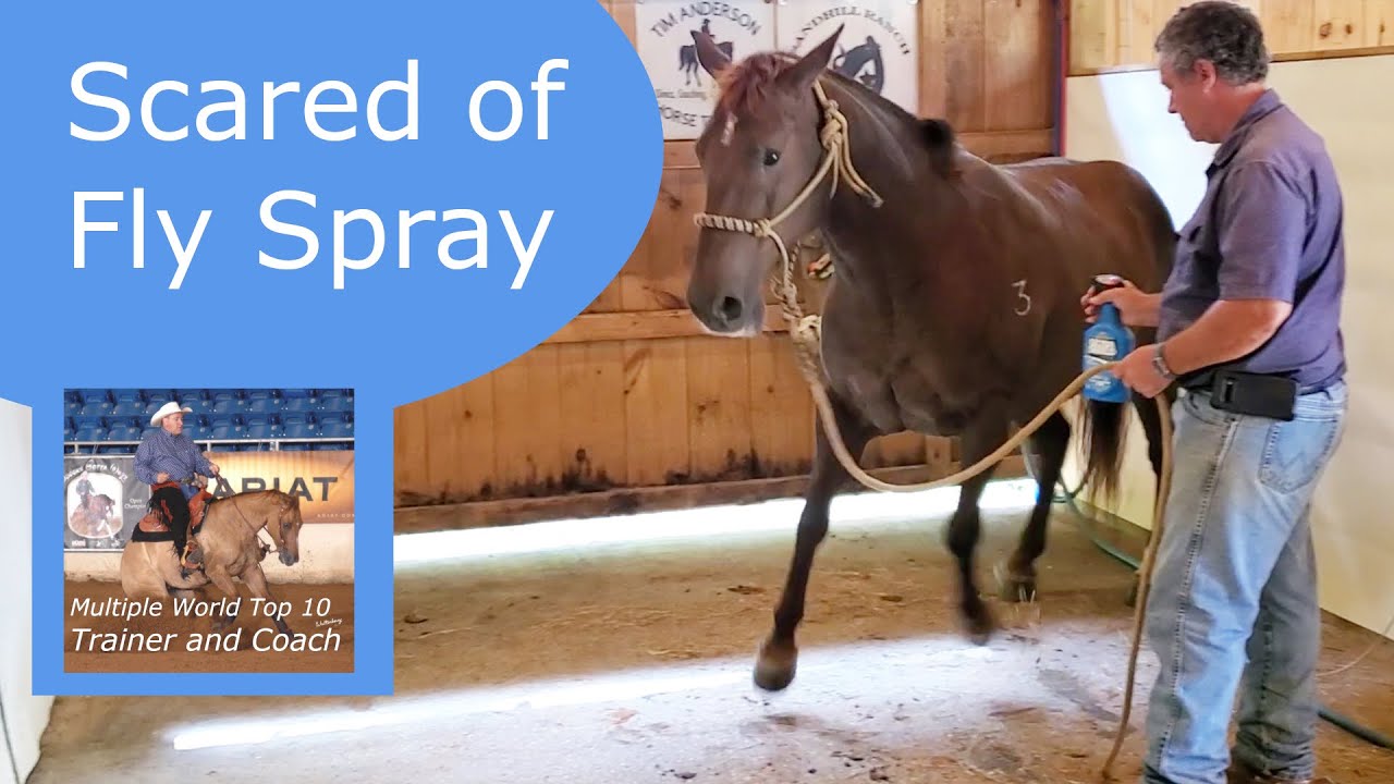She is afraid of a spray bottle