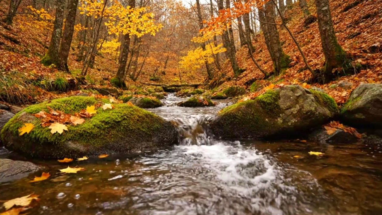 PEACEFUL RIVER WATER ASMR | NATURAL SOUNDS FOR SLEEP, INSOMNIA, AND STUDY FOCUS