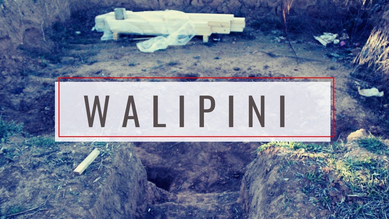 WALIPINI Desde Cero 🏗🌋 || Que Es, Como Se Hace y Para Que Sirve ( HUERTO SUBTERRÁNEO )