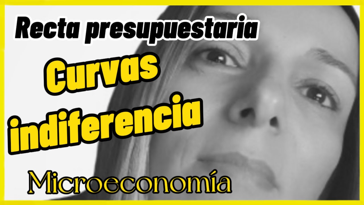 CURVA de INDIFERENCIA y  RESTRICCION PRESUPUESTARIA Ejercicios