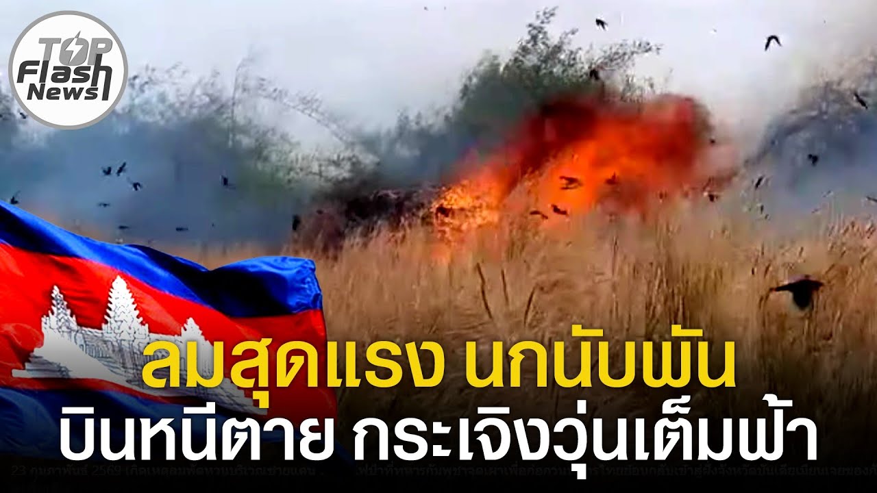 เดือดร้อนยันสัตว์! เขมรเผาป่วน ควันโขมง ลมสุดแรง นกนับพัน บินหนีตาย กระเจิงวุ่นวายเต็มฟ้า