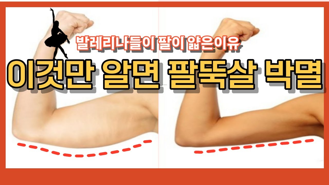 여리여리한 발레리나 팔라인 만들기ㅣ팔뚝살빼는운동ㅣ팔뚝살빨리빼는법ㅣ팔뚝살폭파운동 운동루틴