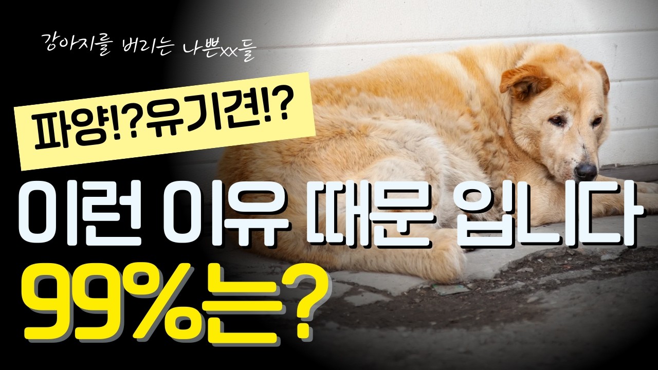 강아지를 파양하는 이유가 고작???? 절대 강아지 키우지 마세요.