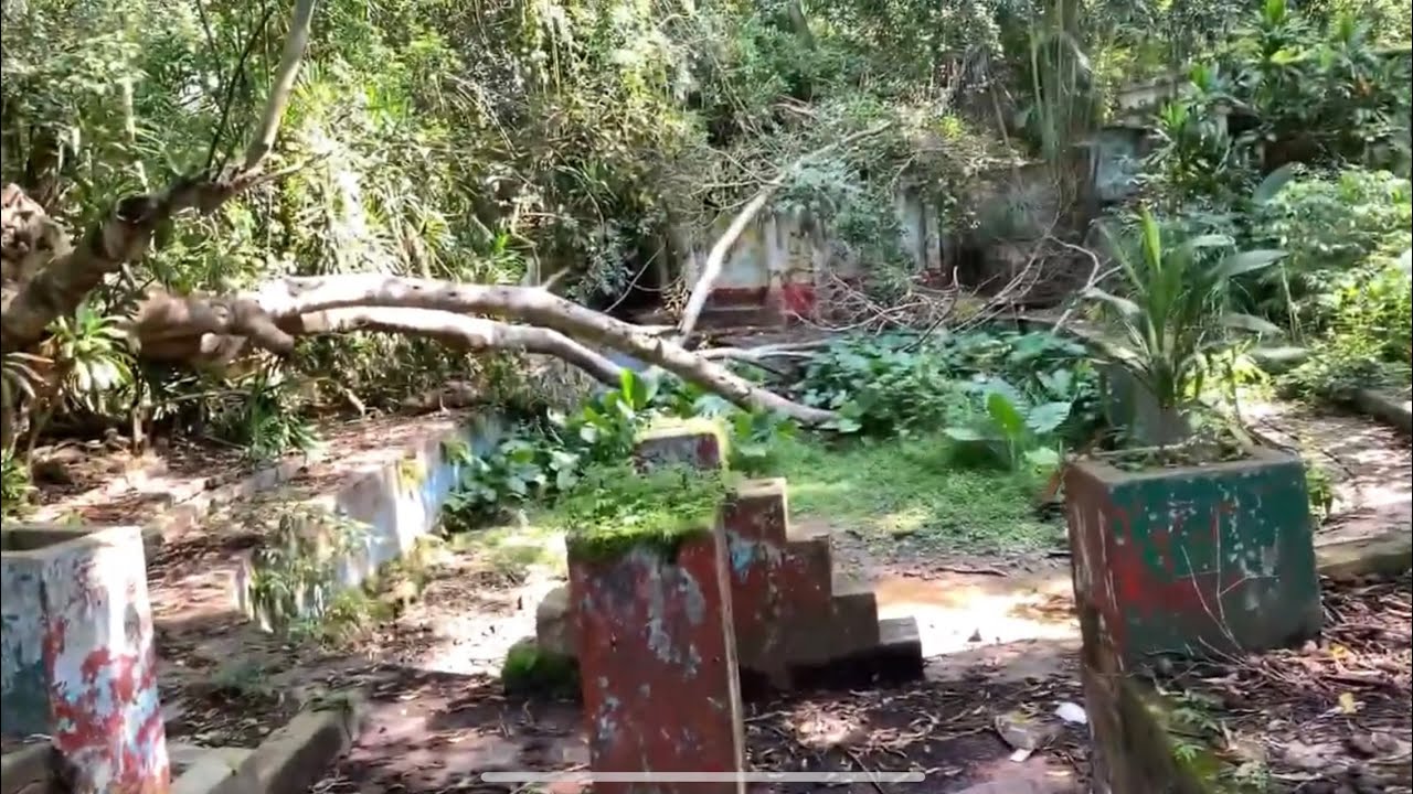 El cortijo jalisco