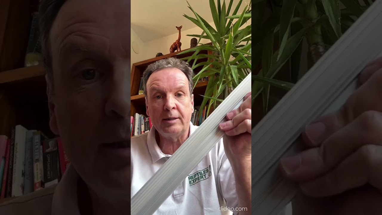 LED Leuchtbalken von Reptiles Expert ideal zur Hintergrundbeleuchtung
