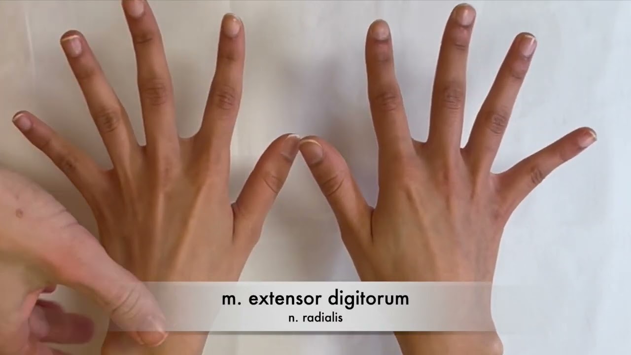 Neurologisch onderzoek van de hand