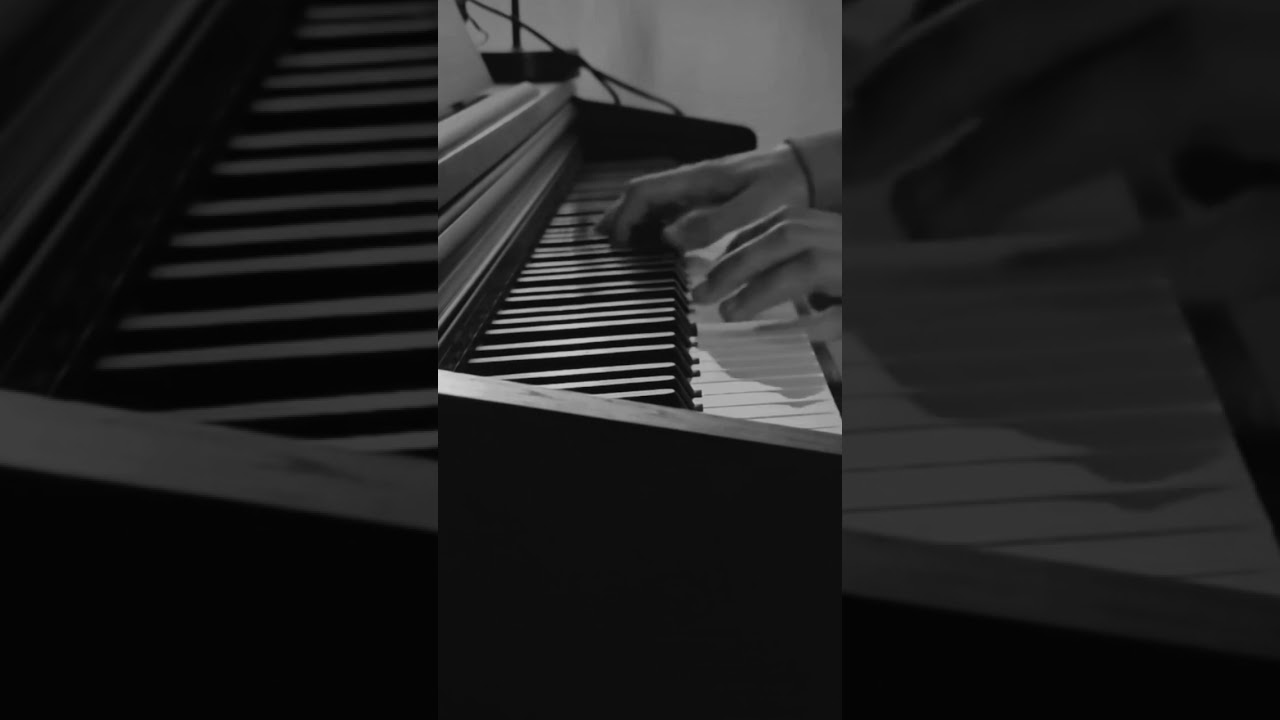 Oceaan Racoon #piano #pianocover #cover #viralshorts