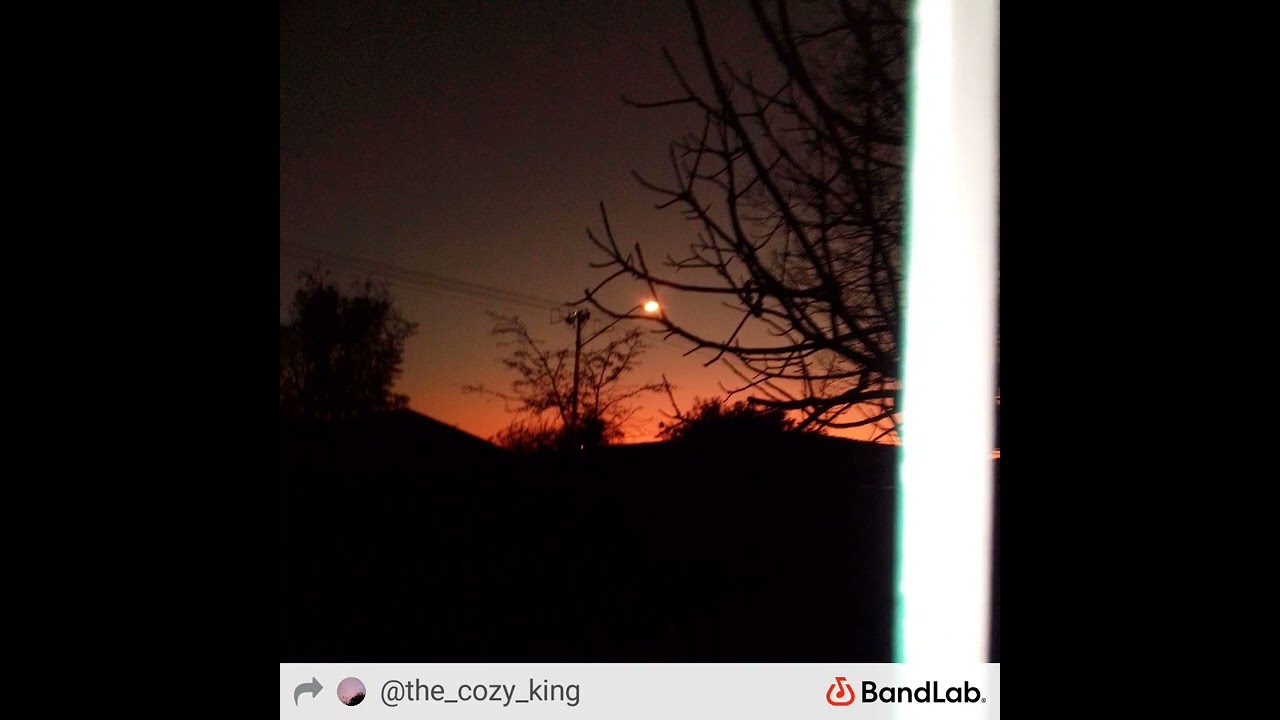 King Cozy - Eden
