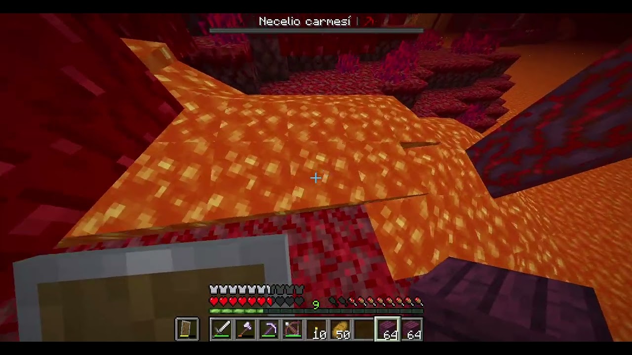 Minecraft 1 21 4   Multijugador servidor de Craisako