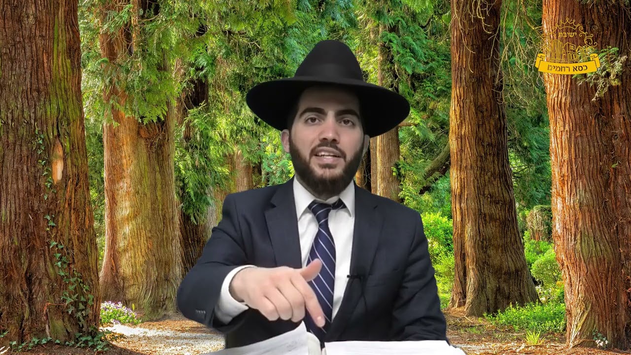 עירוב שנפל בגשמים בשבת, כיצד מותר לטלטל? | הרב יצחק מאזוז | סימן שסא