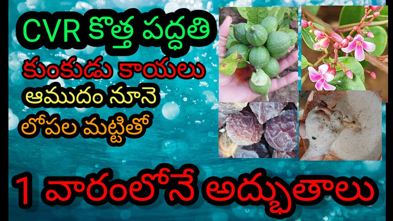 CVR-SSC పద్ధతి ఒక వారంలోనే అద్భుతం #CVR #SoilTechnic
