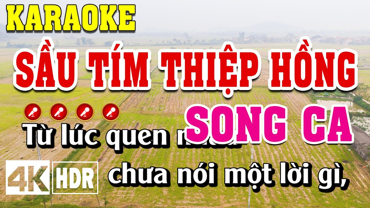 Sầu Tím Thiệp Hồng Karaoke Song Ca Beat Chuẩn | Đình Long Karaoke