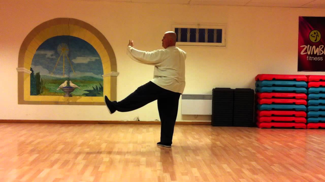 taichi style yang gu meisheng
