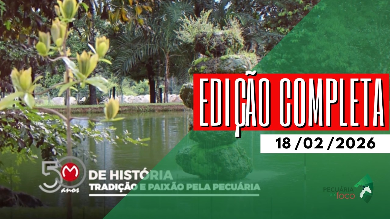 PECUÁRIA EM FOCO - EDIÇÃO COMPLETA - 18/02/2026