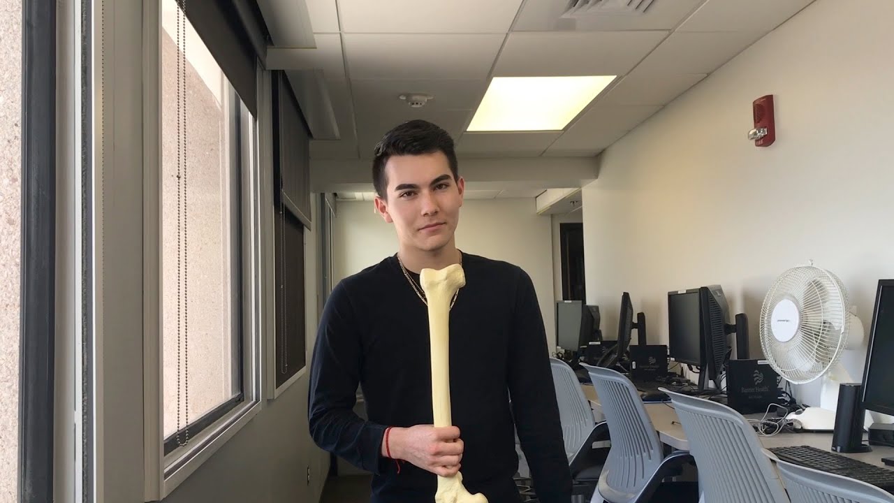 Viscoelastic Properties of Bones (2018)