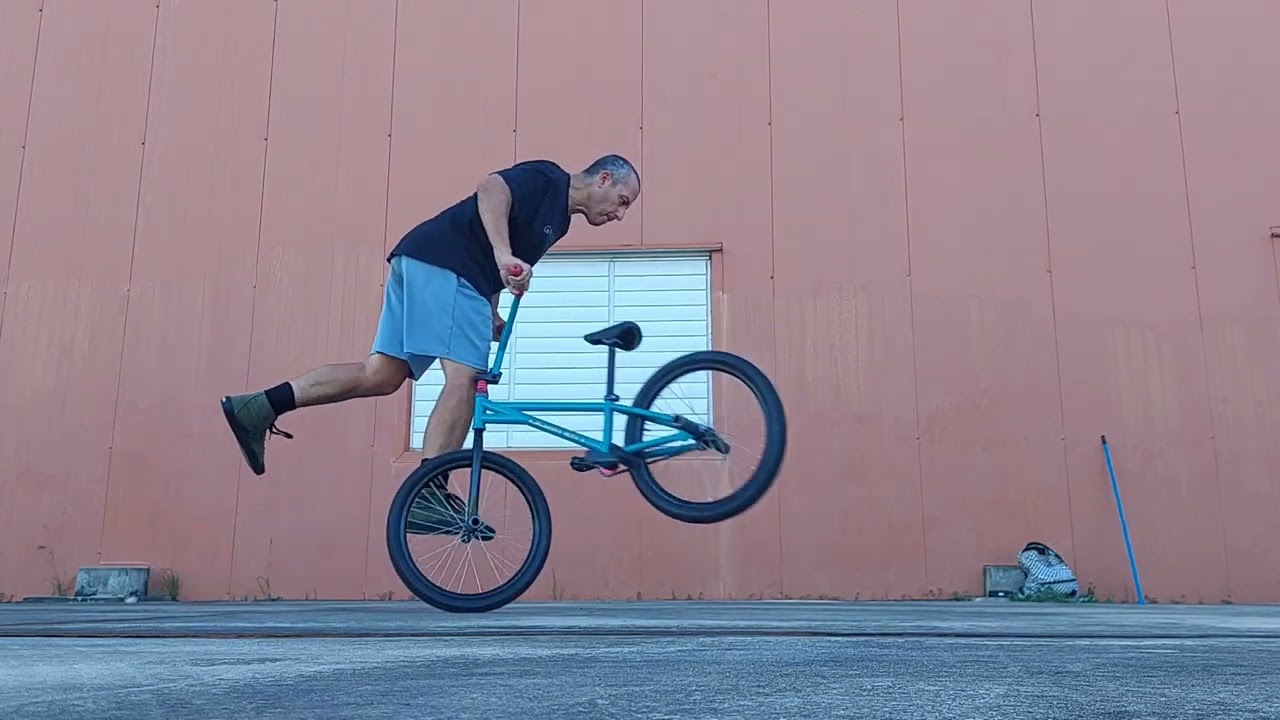 2008 Quamen Delta 4 Flatland Bike