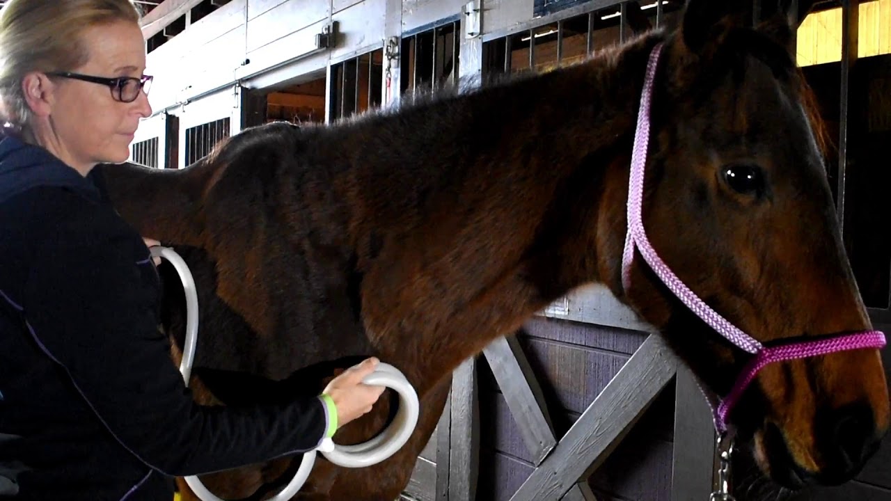 Magna Wave PEMF treatment-- 