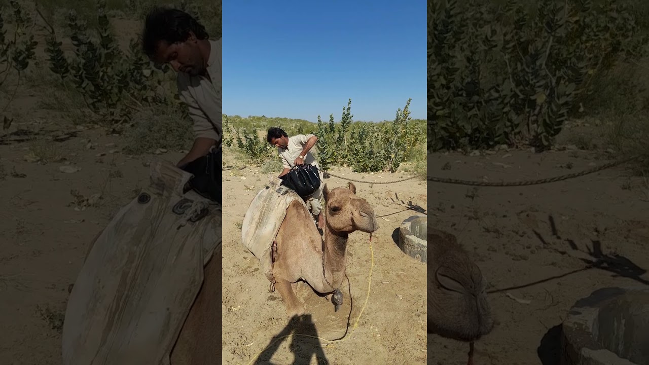 How people of Desert suffering life in Pain without water #villagelife