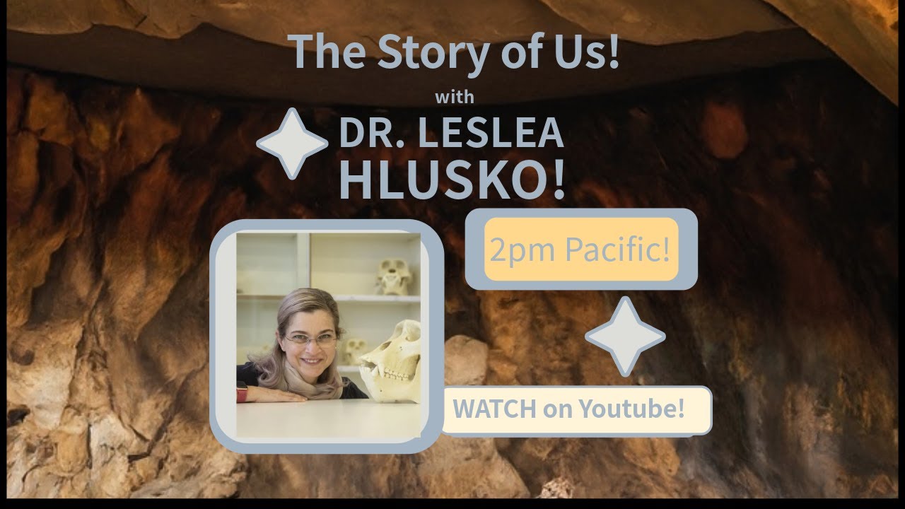 What Can Atapuerca and Teeth Tell Us About Human Evolution? Dr. Leslea Hlusko Shares Insights