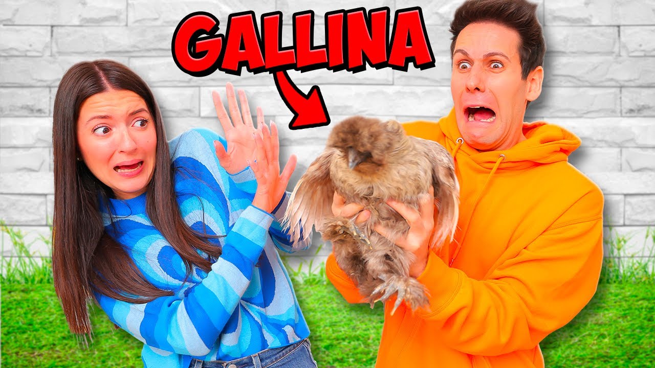 SCHERZO ALLA MIA RAGAZZA HO COMPRATO UNA GALLINA!!