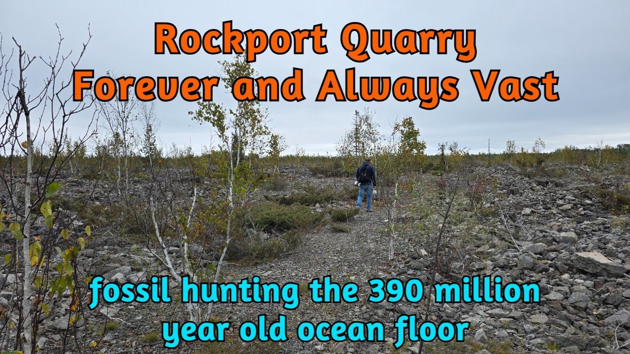 Rockport Quarry, Forever and Always Vast - searching for 390 million year old Devonian fossils