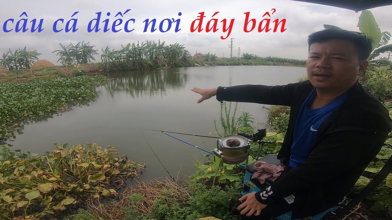 Câu cá diếc mùa hè – kinh nghiệm câu cá nơi đáy bẩn