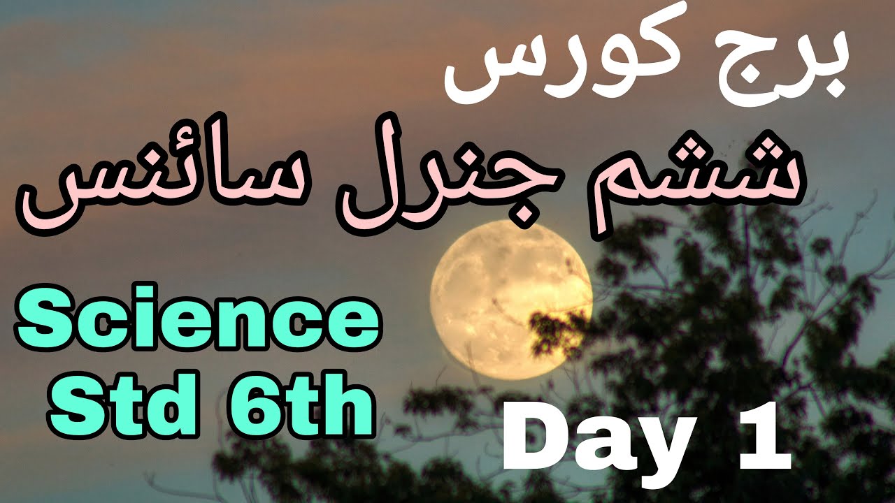 Bridge Course | Std. 6th | Sub. SCIENCE | Day 1 | Solution in Urdu | @SmartOnlineSchool
