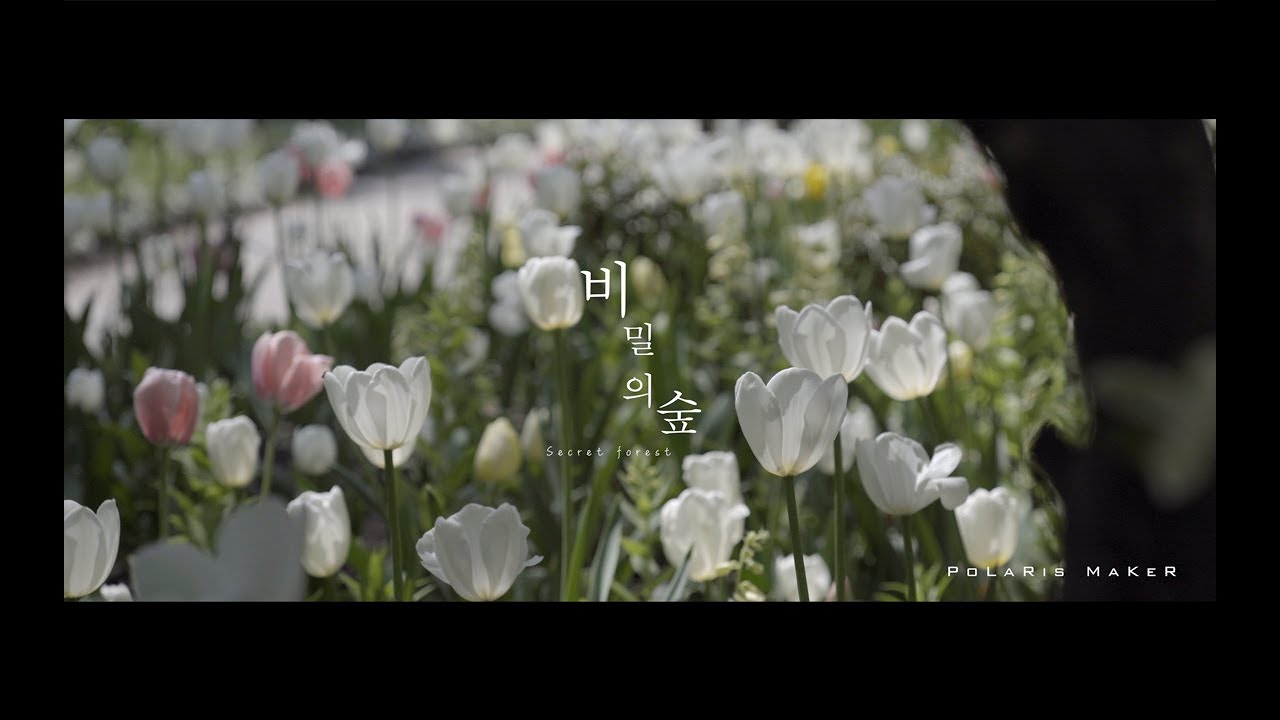 꽃멍 | 영상으로 산책하기 | 마음을 치유하는 영상 | 마음이 편해지는 영상 | 자연영상 | 힐링영상 | 꽃멍 | 산책 | 힐링 | 정서정화