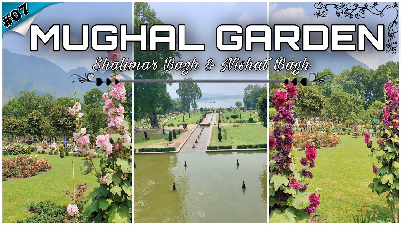 Mughal Garden - Shalimar Bagh & Nishat Bagh | Srinagar | Kashmir Trip